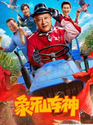 青禾镇的风 青春成长电影封面